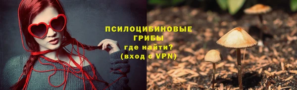 спайс Алексин