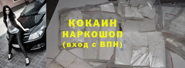 гидра Алексеевка