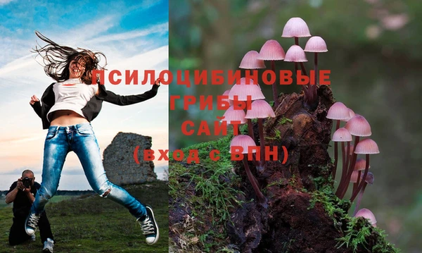 спайс Алексин