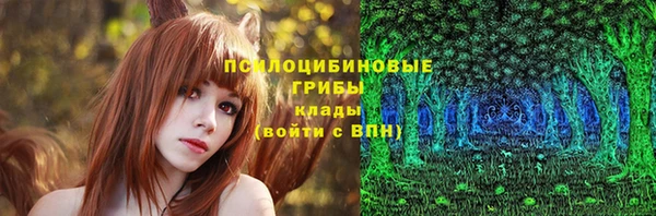 крисы Алзамай