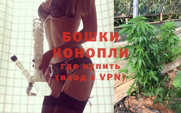 гидра Алексеевка