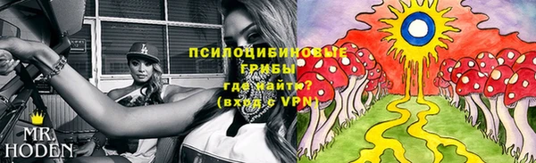 спайс Алексин