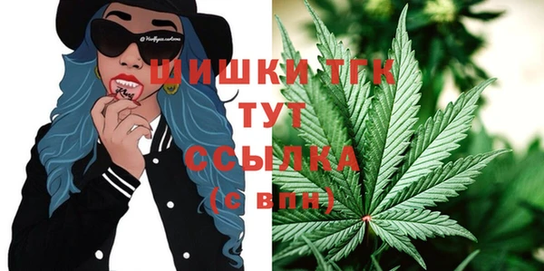 гидра Алексеевка