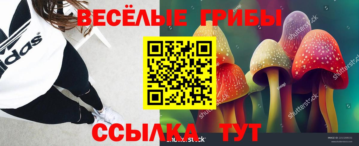 Галлюциногенные грибы Magic Shrooms  Вход с VPN  наркошоп  Кемерово 